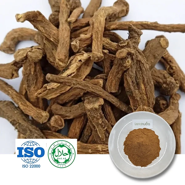 Certified Dandelion Root Extract Powder Certified Dandelion Root Extract Powder