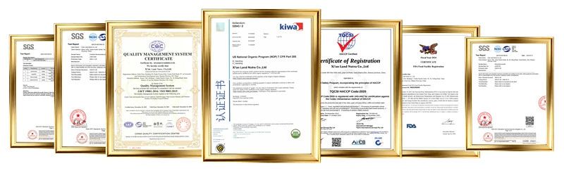Certificates HACCP ISO GMP Kosher